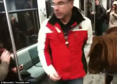 Mọi người trên tàu điện ngầm cẩn thận tránh con vật.