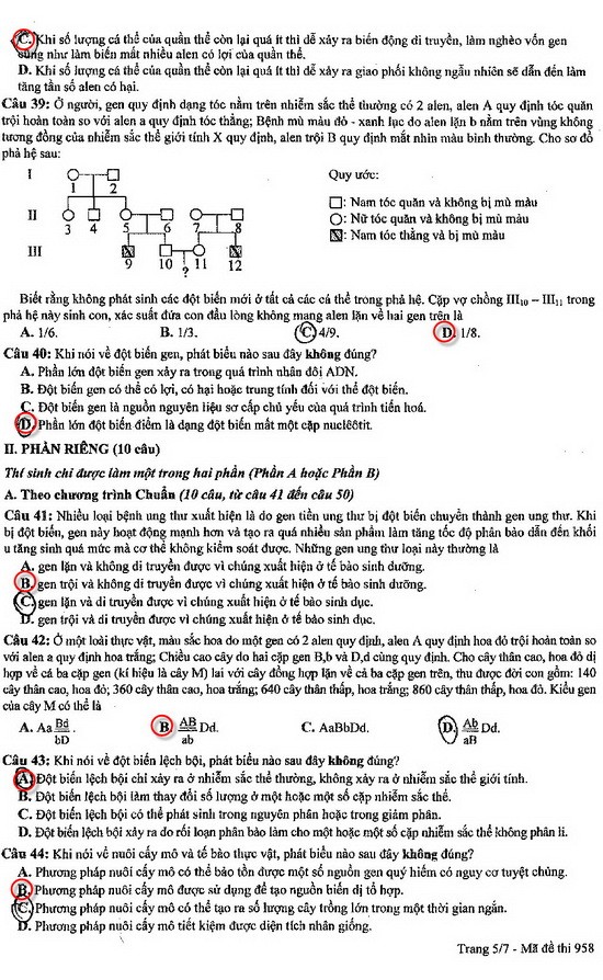 Goi y dap an mon Sinh hoc khoi B 2013-Hinh-5