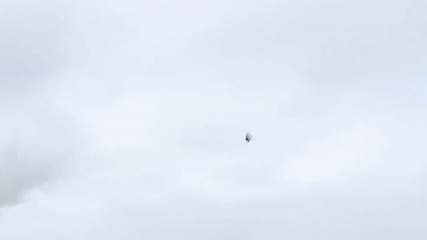 UAV khong lo Tu-141 Lien Xo van cuc ky nguy hiem-Hinh-3