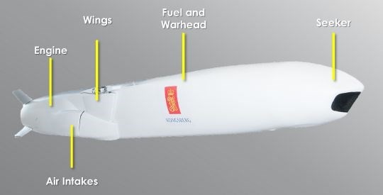 Tiem kich tang hinh F-35 co ten lua tam xa JSM: Ho moc them canh!-Hinh-4