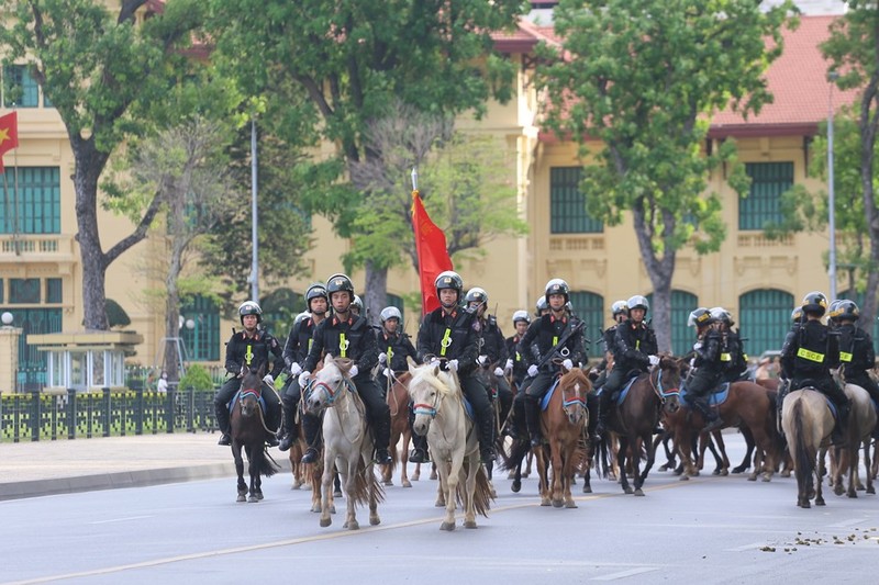 Canh sat co dong ky binh VN thuan hoa duoc bao nhieu ngua hoang?-Hinh-10