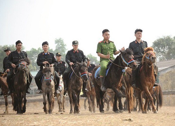 Canh sat co dong ky binh VN thuan hoa duoc bao nhieu ngua hoang?-Hinh-4