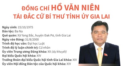 Diem nhan tu 15 Dai hoi Dang bo tinh/thanh pho-Hinh-2
