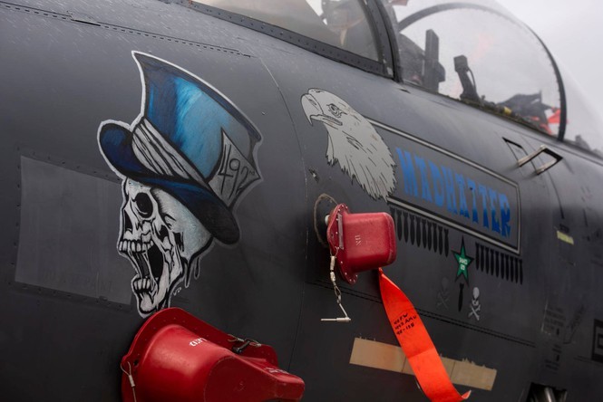 Khong quan Hoang gia Anh hoa trang cho tiem kich F-15E don Halloween cuc doc-Hinh-9