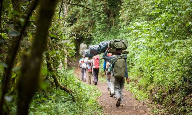 Dep ngo ngang cung duong leo nui Kilimanjaro-Hinh-4