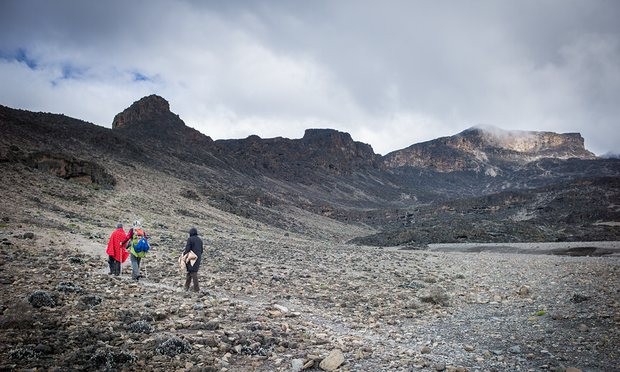 Dep ngo ngang cung duong leo nui Kilimanjaro-Hinh-6