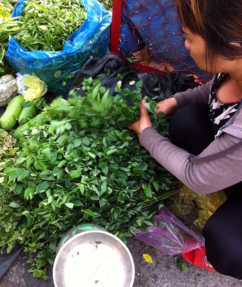 Dung nham rau ngot la xoan la khong  bi phun thuoc