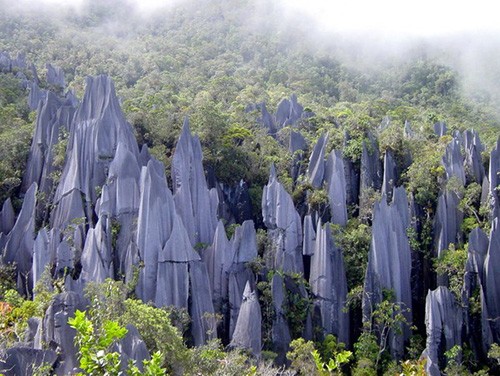 Ly giai da bi phong hoa do sinh vat