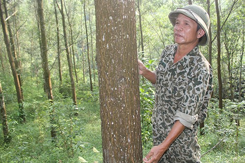 Ong Tan ty phu dat Luong Son-Hinh-3