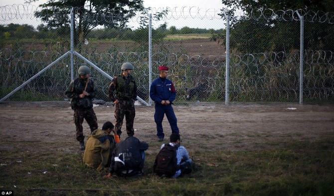 Canh “man troi chieu dat” cua nguoi ti nan bien gioi Hungary-Serbia-Hinh-7