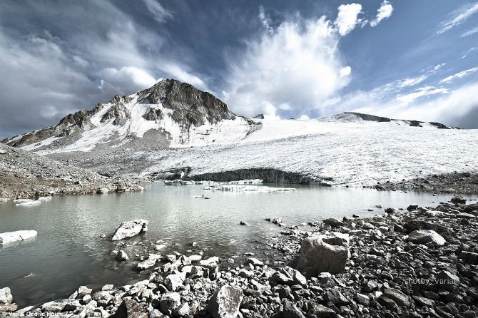 Cuoc song cua bo lac du muc “bi lang quen” o Afghanistan-Hinh-3