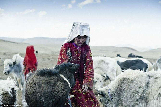 Cuoc song cua bo lac du muc “bi lang quen” o Afghanistan-Hinh-9