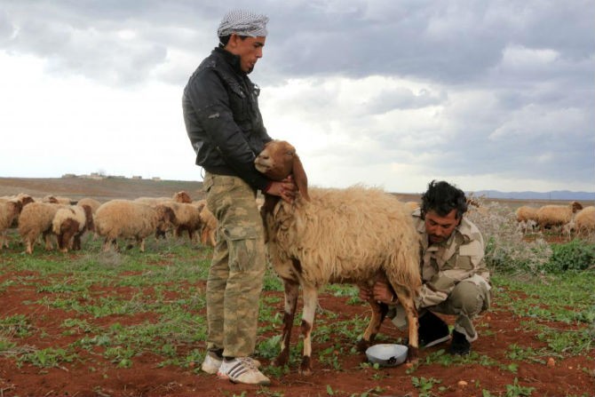 Chum anh khoanh khac binh yen tren chien truong Syria-Hinh-14