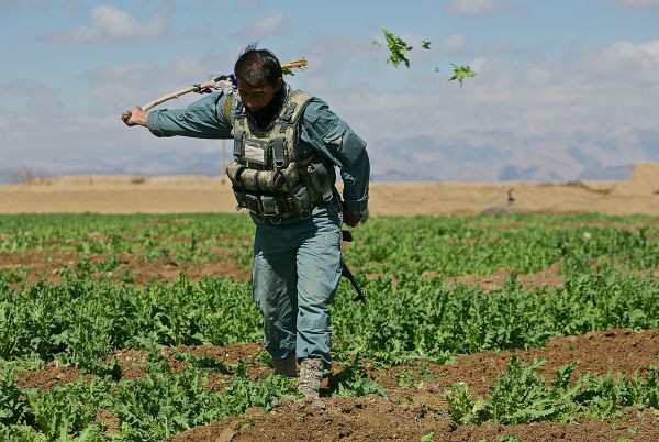 Khoc liet cuoc chien chong ma tuy tai Afghanistan-Hinh-3