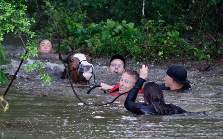 Canh “pho bien thanh song” o bang Texas, My-Hinh-4