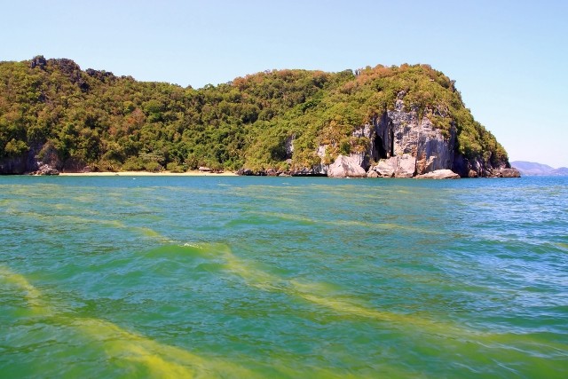 Thuy trieu do khac tinh cua ngu dan-Hinh-2