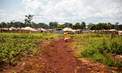 Chuyen rung minh trong trai ti nan o Tanzania