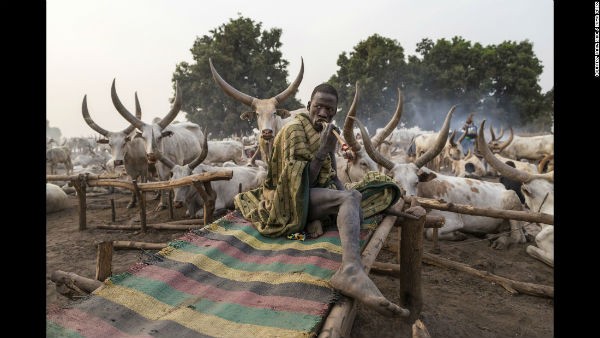 Cuoc song voi dan bo cua bo lac Mundari o Nam Sudan-Hinh-3