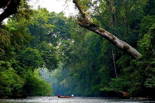 10 dia diem du lich hang dau Malaysia-Hinh-9