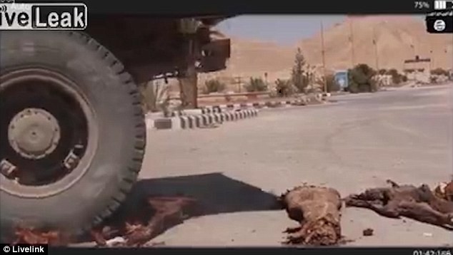 Anh phien quan IS pha huy co vat tai thanh pho Palmyra-Hinh-6