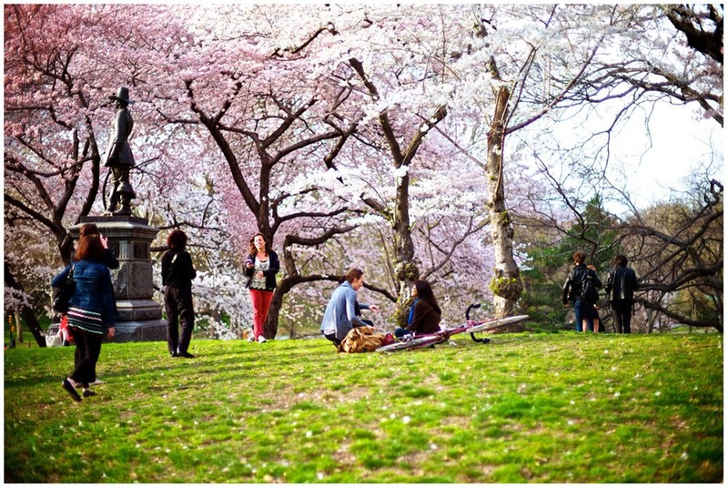 Central Park - Mang xanh khong lo giua New York-Hinh-7