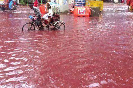 Can canh “dong song mau” tren duong pho thu do Dhaka-Hinh-9