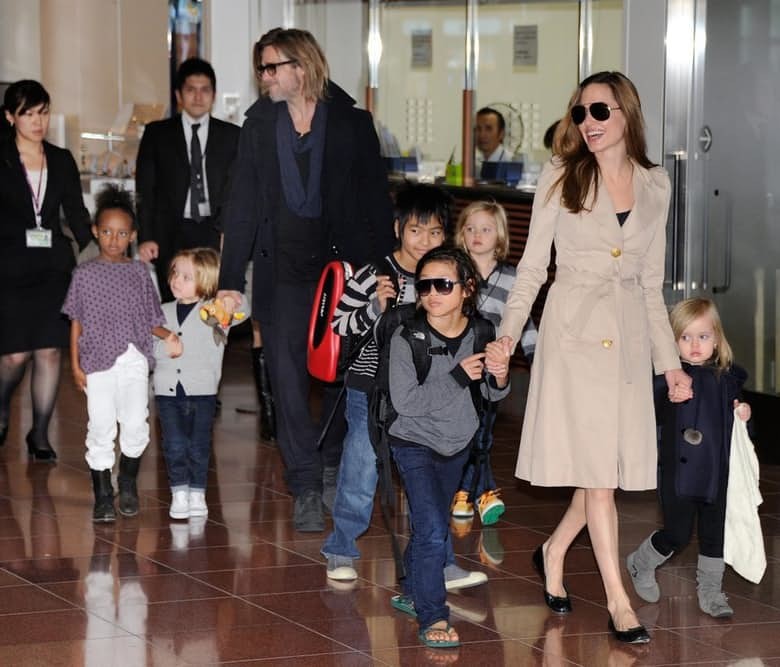14 ly do khien Angelina Jolie ly hon voi Brad Pitt-Hinh-6