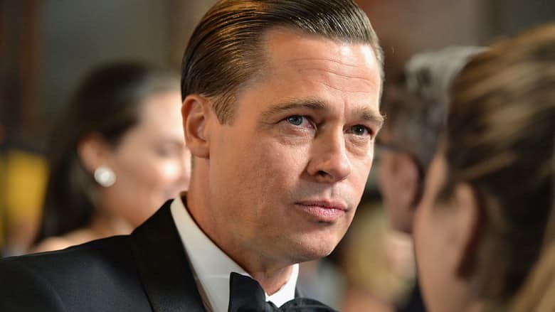14 ly do khien Angelina Jolie ly hon voi Brad Pitt-Hinh-7