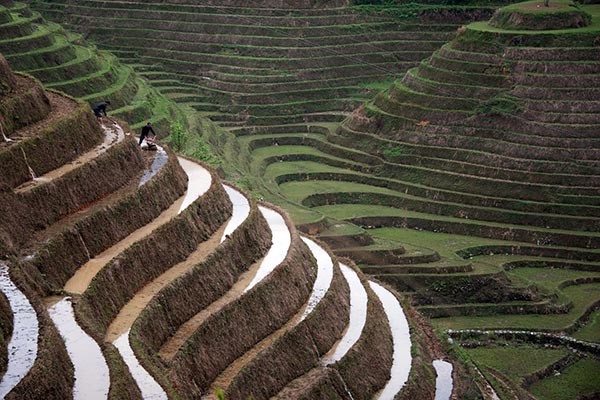 “Kiet tac” ruong bac thang dep me hon tren the gioi-Hinh-14