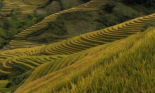 “Kiet tac” ruong bac thang dep me hon tren the gioi-Hinh-18