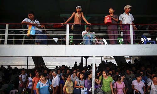 Chim pha o Myanmar, hang tram nguoi thiet mang