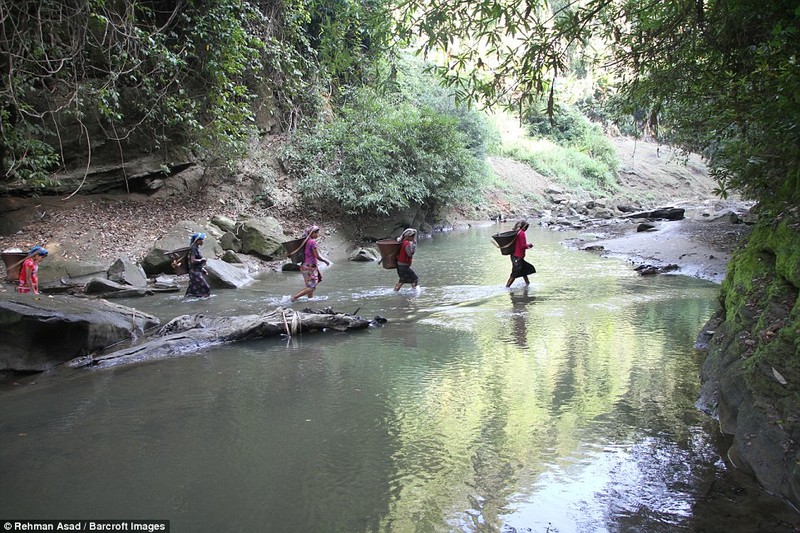 Cuoc song biet lap cua bo lac o Bangladesh-Hinh-2