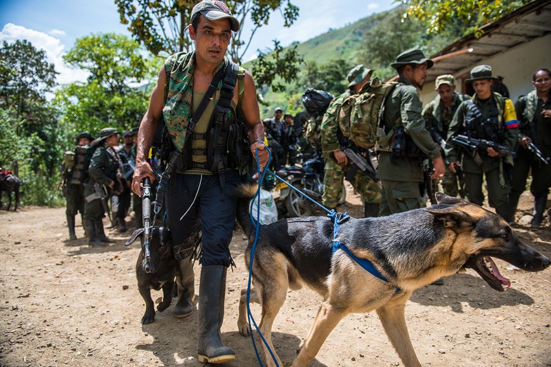 Chum anh moi nhat ve cac chien binh FARC thoi binh-Hinh-10