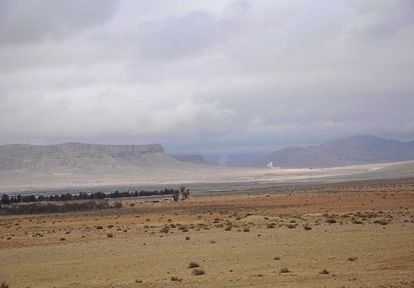 Ben trong thanh pho co Palmyra moi giai phong khoi IS-Hinh-9