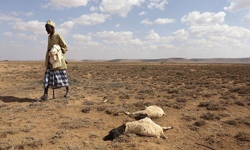 Han han kinh hoang o Somalia giet 110 nguoi trong hai ngay