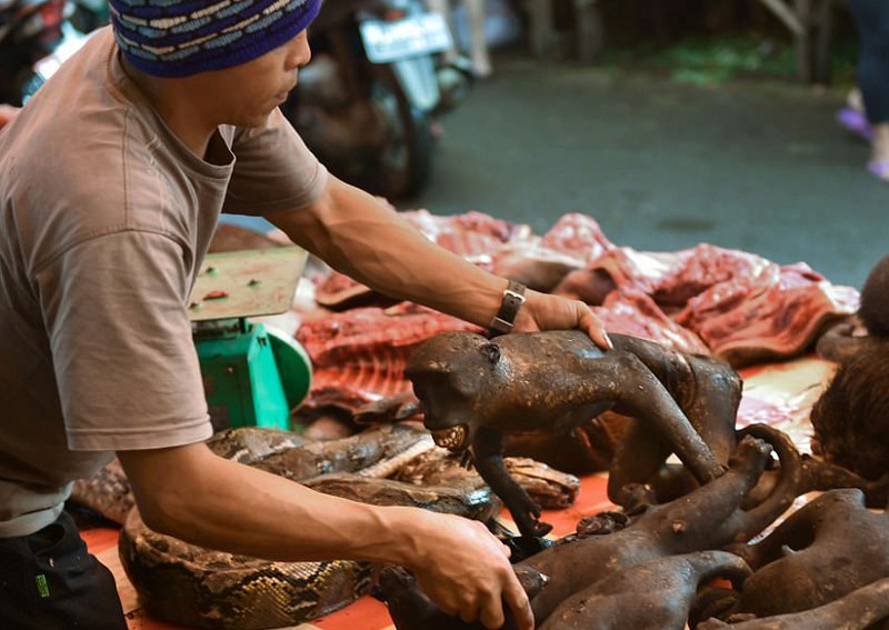 Hai hung khu cho ban thit khi o Indonesia-Hinh-3