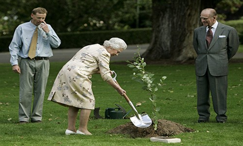 12 khoanh khac doi thuong cua Nu hoang Anh Elizabeth II-Hinh-3