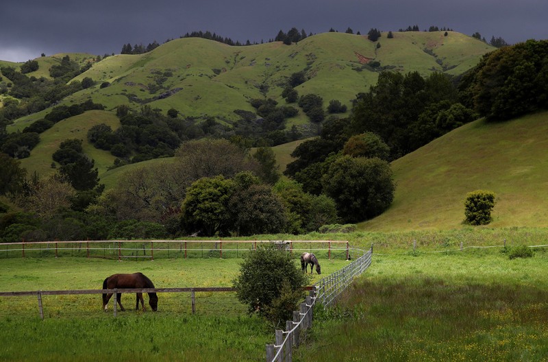 Kinh ngac California truoc va sau han han lich su-Hinh-13