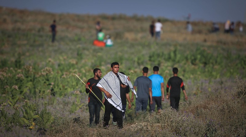 Anh: Bieu tinh du doi o Dai Gaza vi thieu dien
