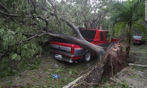 Kinh hoang sieu bao Irma tan pha bang Florida-Hinh-2