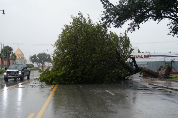 Kinh hoang sieu bao Irma tan pha bang Florida-Hinh-8