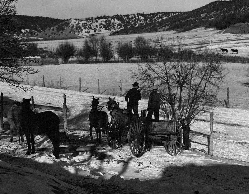 Anh hiem cuoc song o New Mexico trong The chien II-Hinh-5