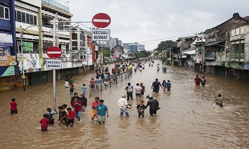 Cac thanh pho lon ung pho voi canh “sap chim” the nao?