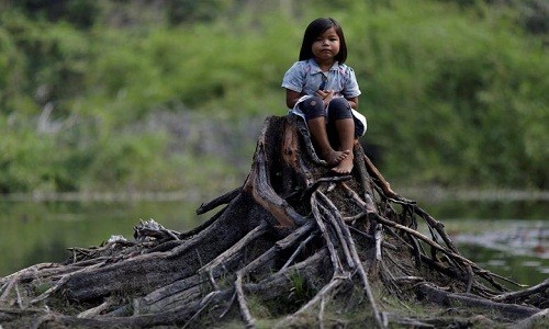 Khon kho cuoc song bo lac Amazon vi chay rung du doi-Hinh-11