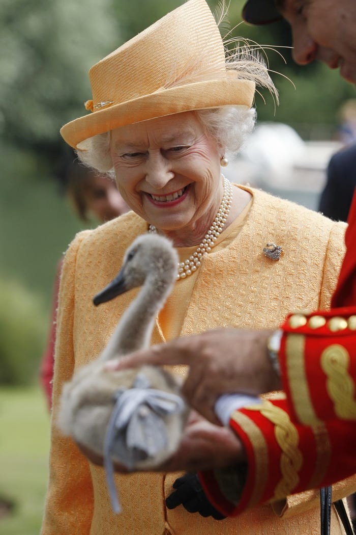 Nu hoang Anh Elizabeth II va tinh yeu doi voi dong vat-Hinh-10