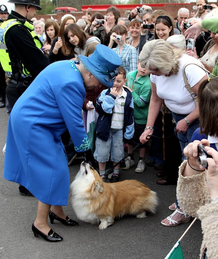 Nu hoang Anh Elizabeth II va tinh yeu doi voi dong vat-Hinh-2