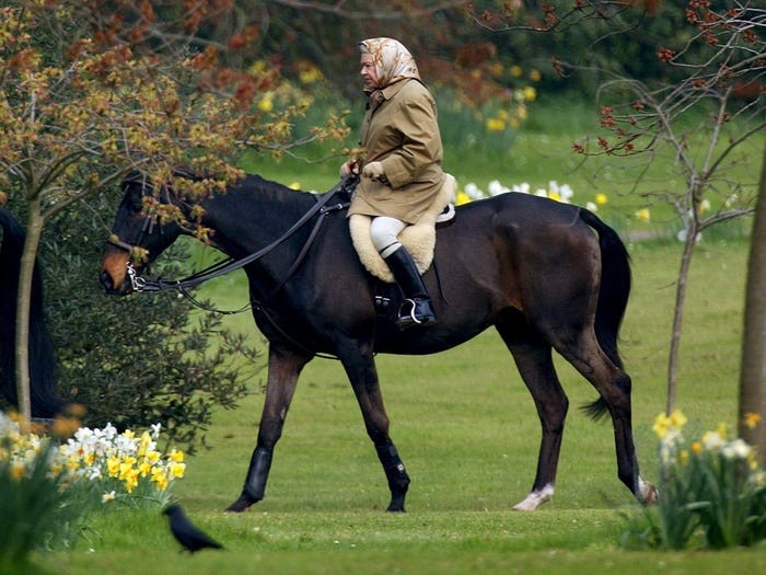 Nu hoang Anh Elizabeth II va tinh yeu doi voi dong vat-Hinh-4