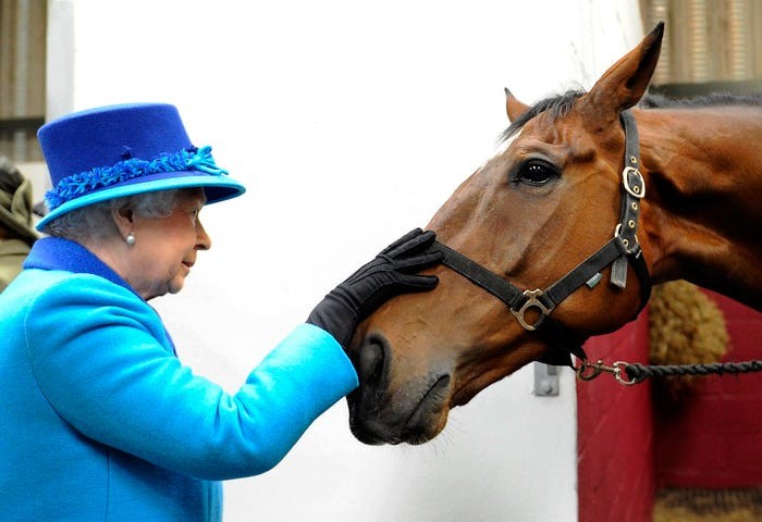 Nu hoang Anh Elizabeth II va tinh yeu doi voi dong vat-Hinh-5