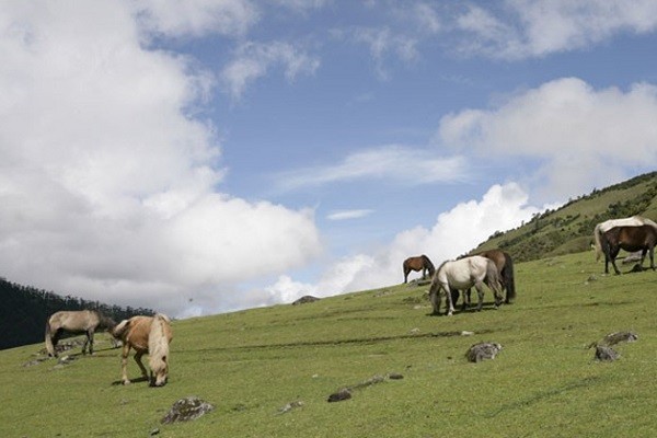 Kham pha khu bao ton cua Bhutan bi Trung Quoc tuyen bo chu quyen-Hinh-10