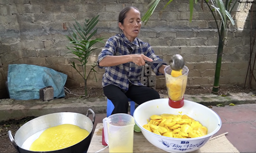 Nghi van ruoi xuat hien trong noi thach cua ba Tan Vlog-Hinh-2